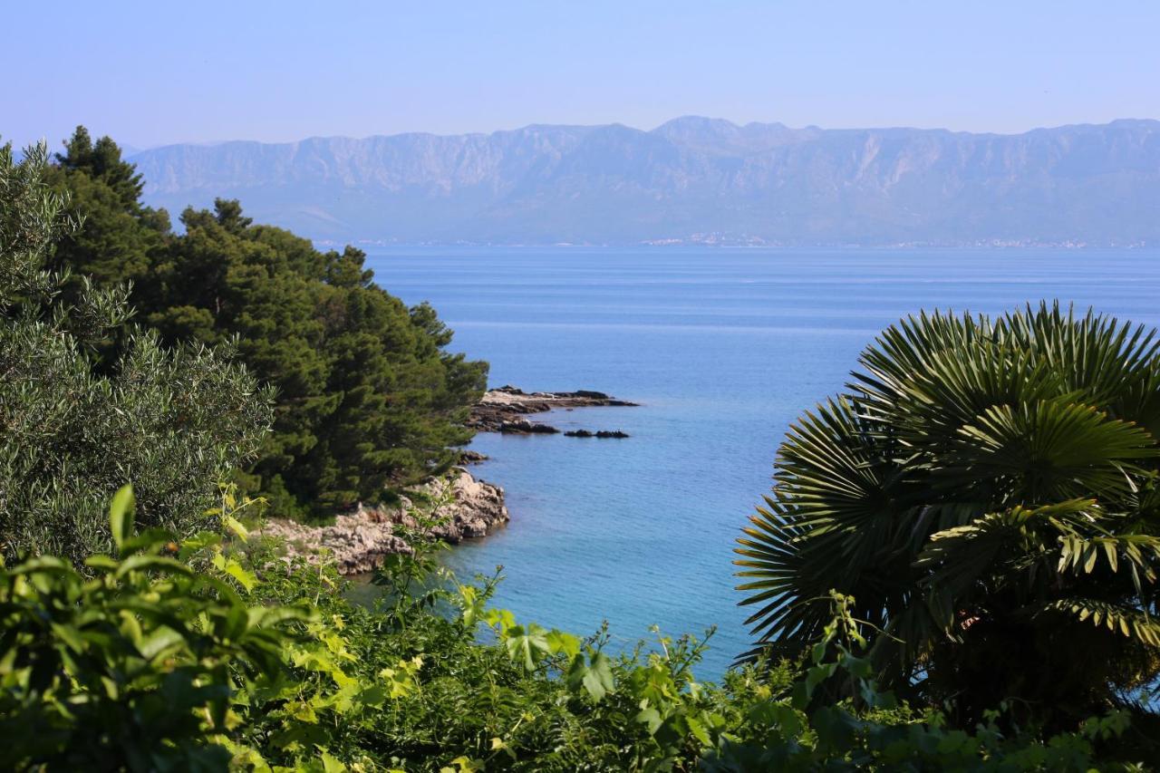 Apartments And Rooms By The Sea Trpanj, Peljesac - 258 Exterior photo